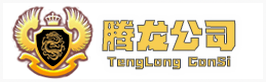 腾龙集团LOGO
